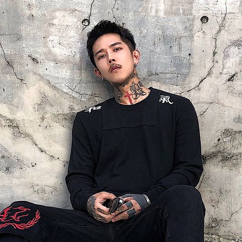 快手白鹤大人整过容吗