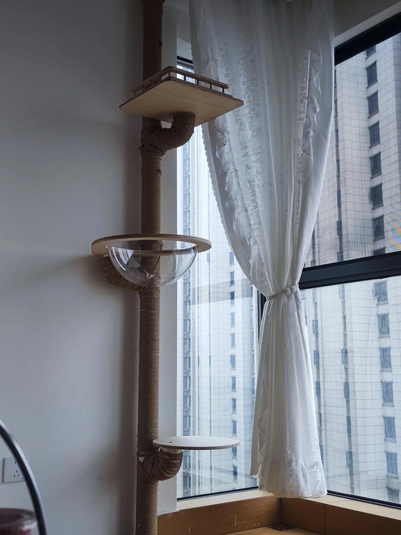 抖音上下水管检查口装饰