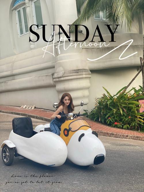 抖音史努比电瓶车的图片