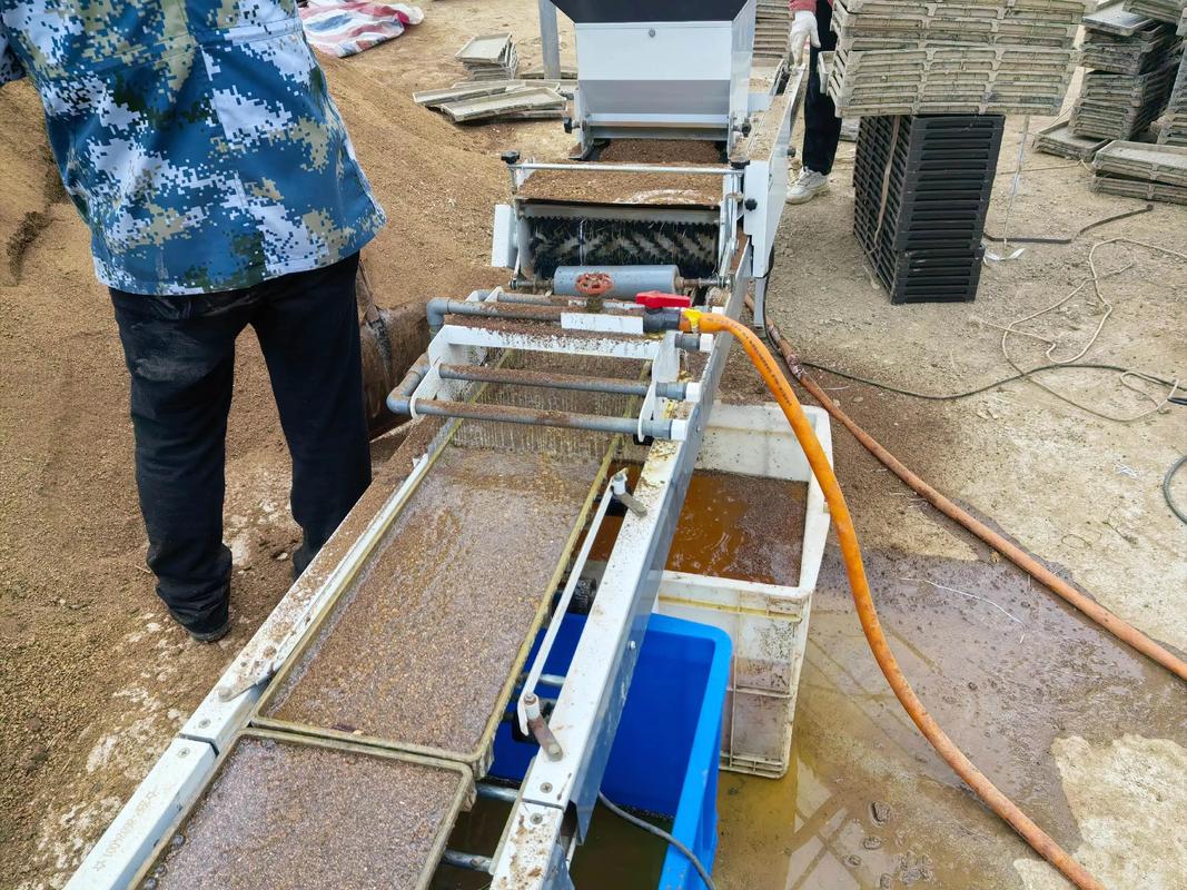 江西早稻直播栽培技术