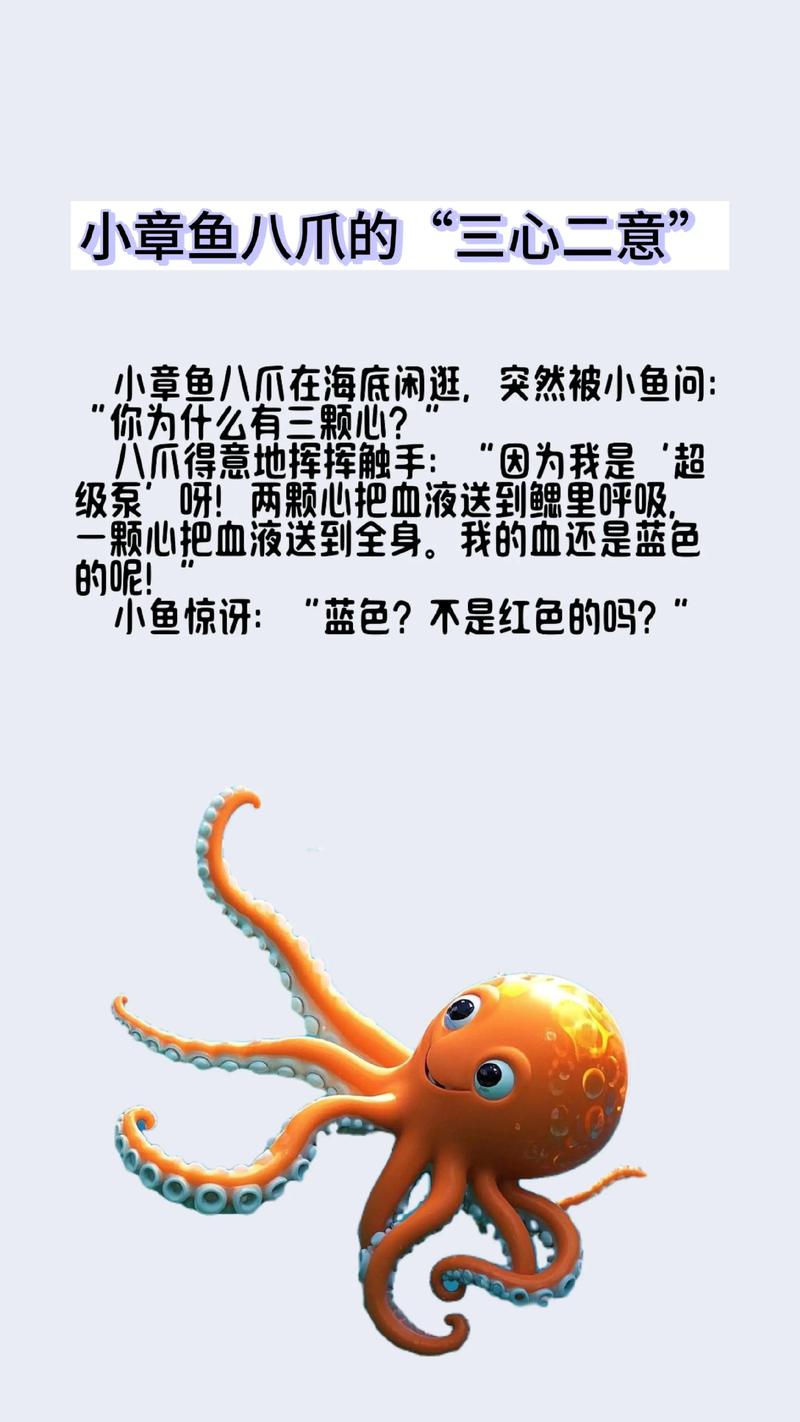 章鱼直播为什么看不了