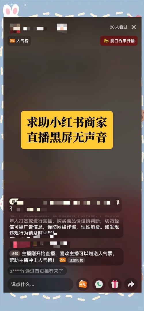 电脑上快手直播没视频