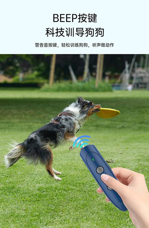 抖音同款狗狗自动取食器