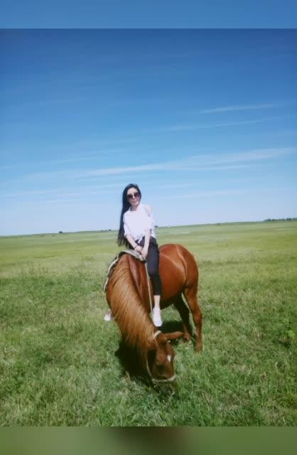 手机最快开马直播现场