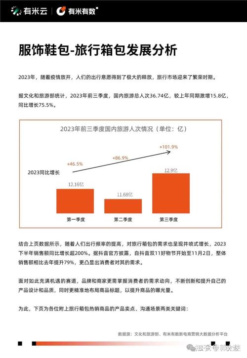 用市场营销概念分析抖音