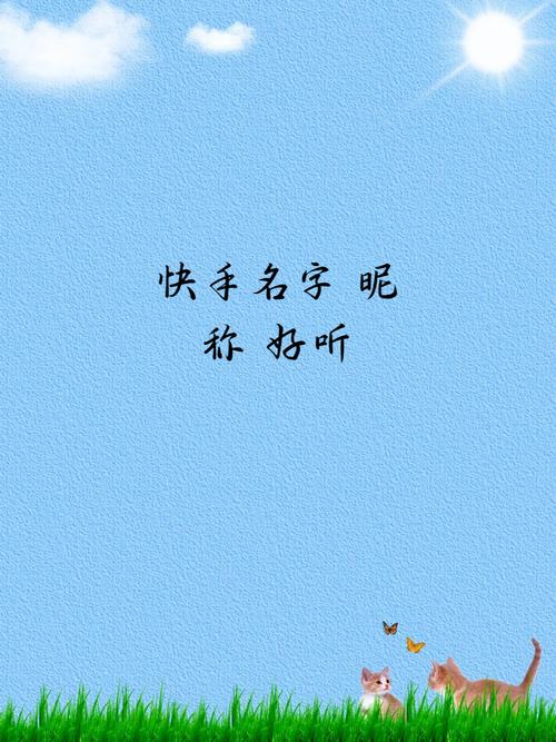 快手怎么注册好的id