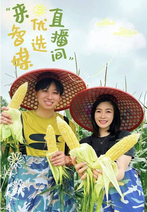 直播新余手机在线直播