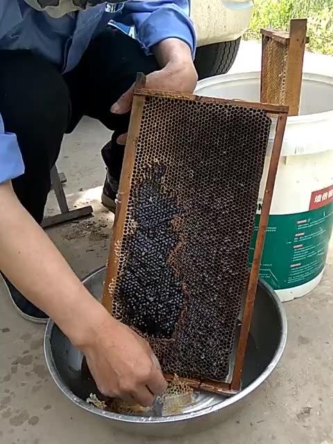 快手买蜂蜜的那个小孩