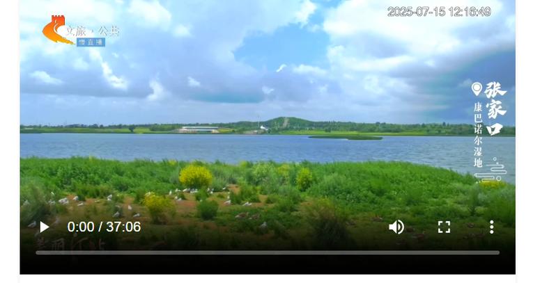 张家口电视台二套直播