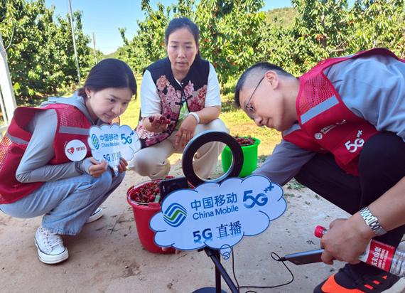 中国移动电视盒看直播