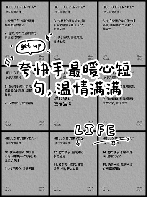 2025快手最火话语