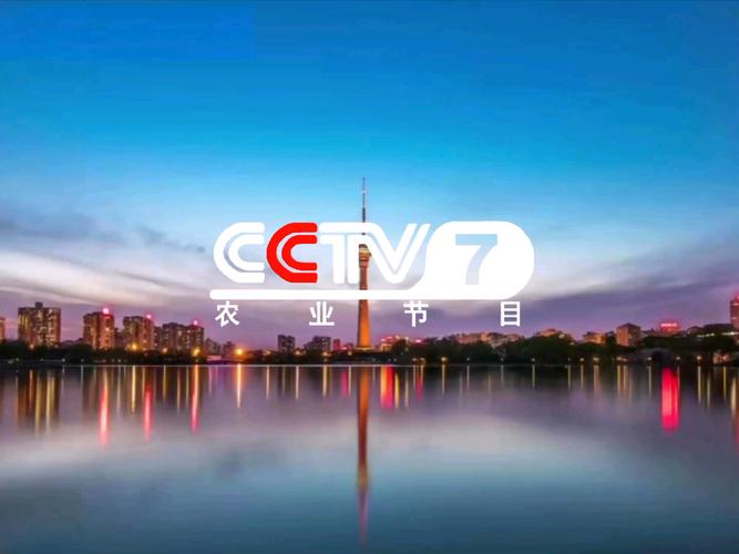 btv7生活频道直播