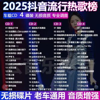 抖音车载cd歌曲叫什么