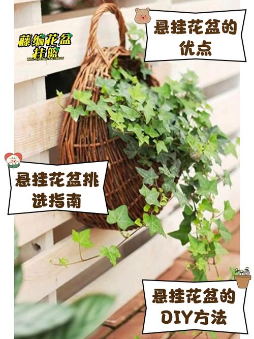 抖音绳子吊起的花盆方法