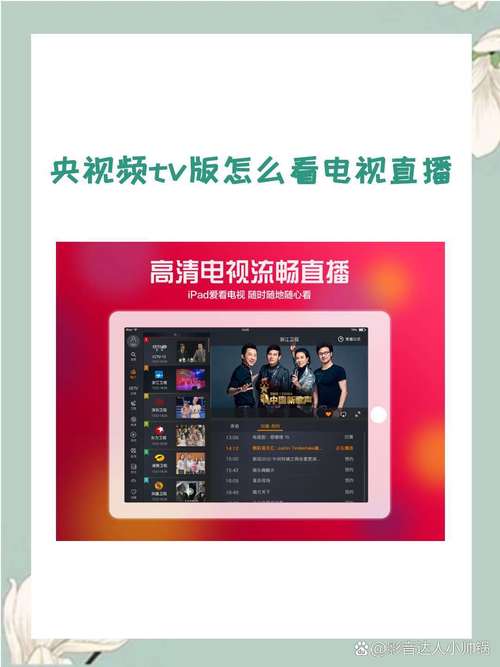 怎样用电脑看电视直播