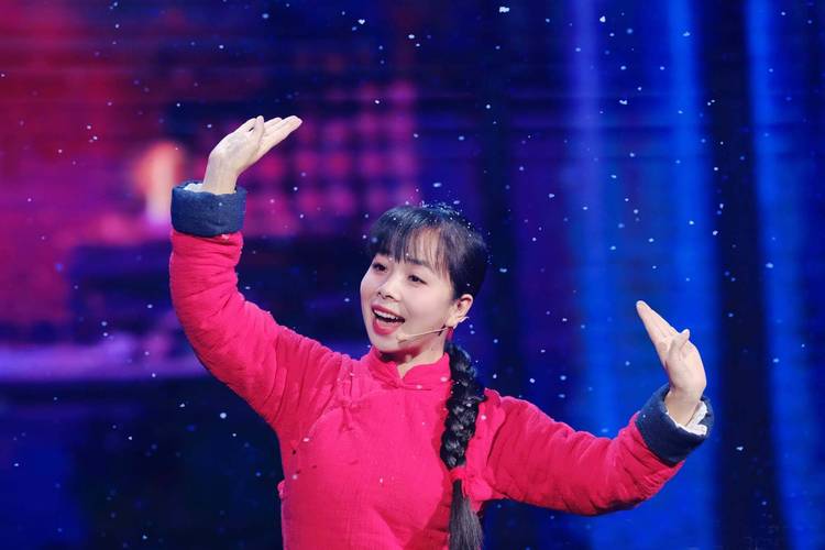 王二妮北京演唱会直播