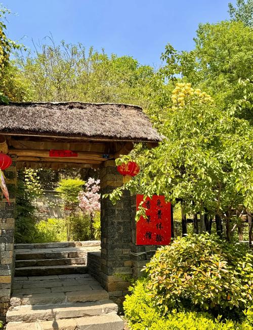 苍山电视台直播压油沟