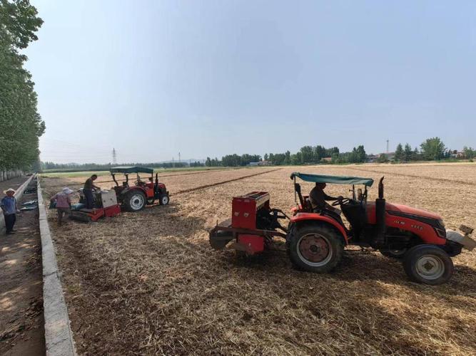 建三江旱直播水稻视频