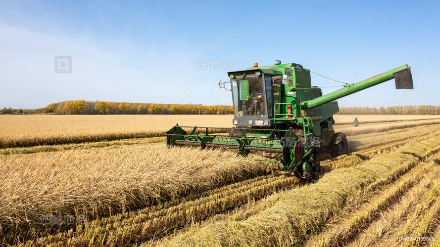 建三江旱直播水稻视频