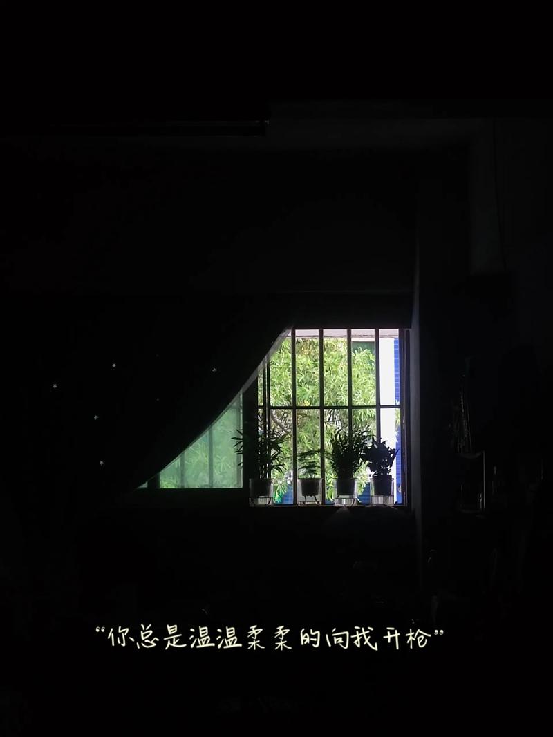 抖音 拉栓 开枪 音乐