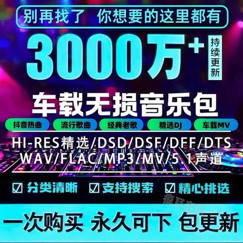 车载抖音歌曲 无损下载