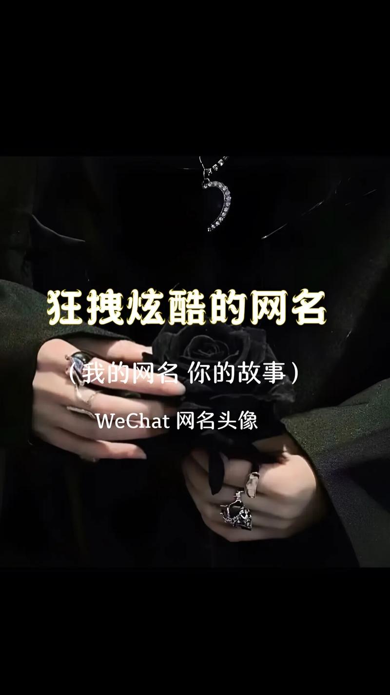 快手精神小伙QQ网名