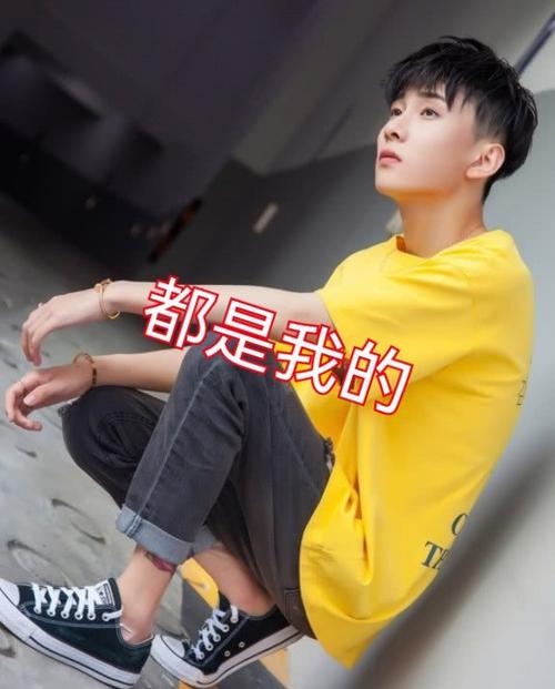 快手王乐乐爆破110