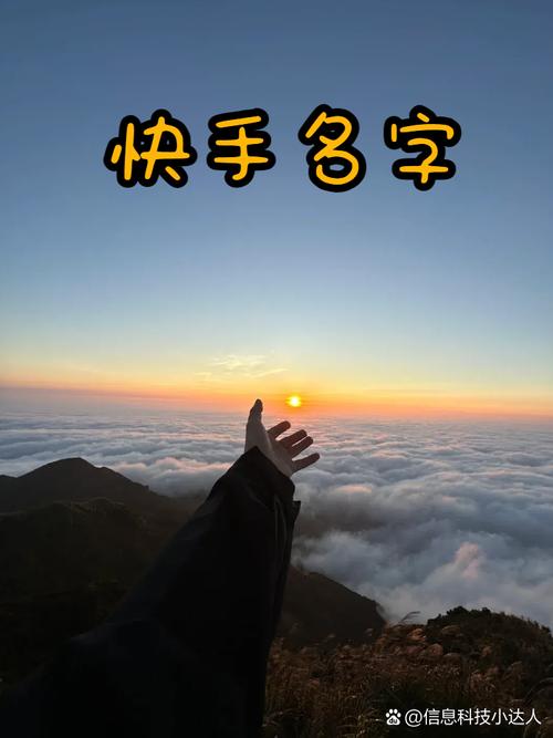 知道快手id怎么加人