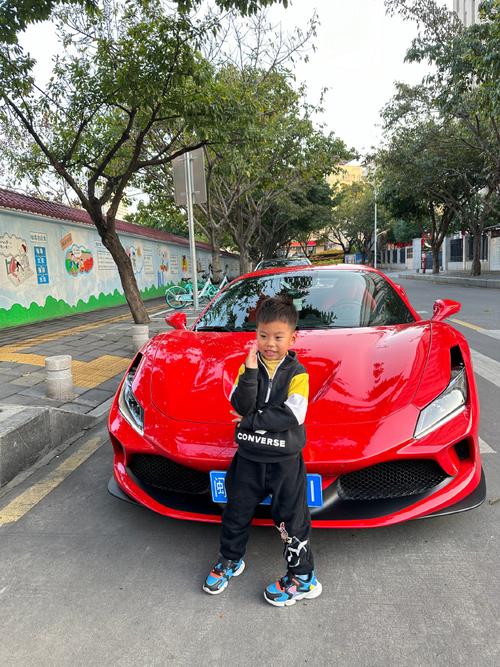 抖音小男孩看车图R8