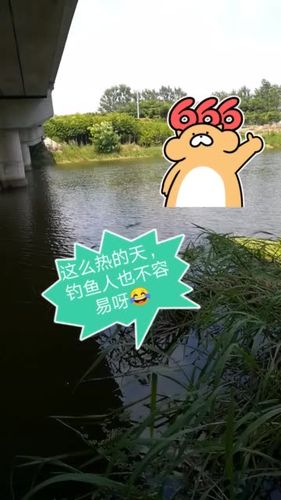 怎么快手现在都是江苏