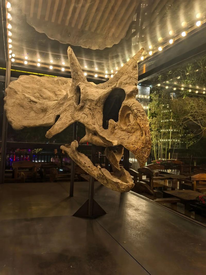 抖音最近很火的三角龙