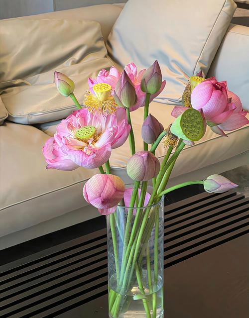 抖音网红福袋机怎么样