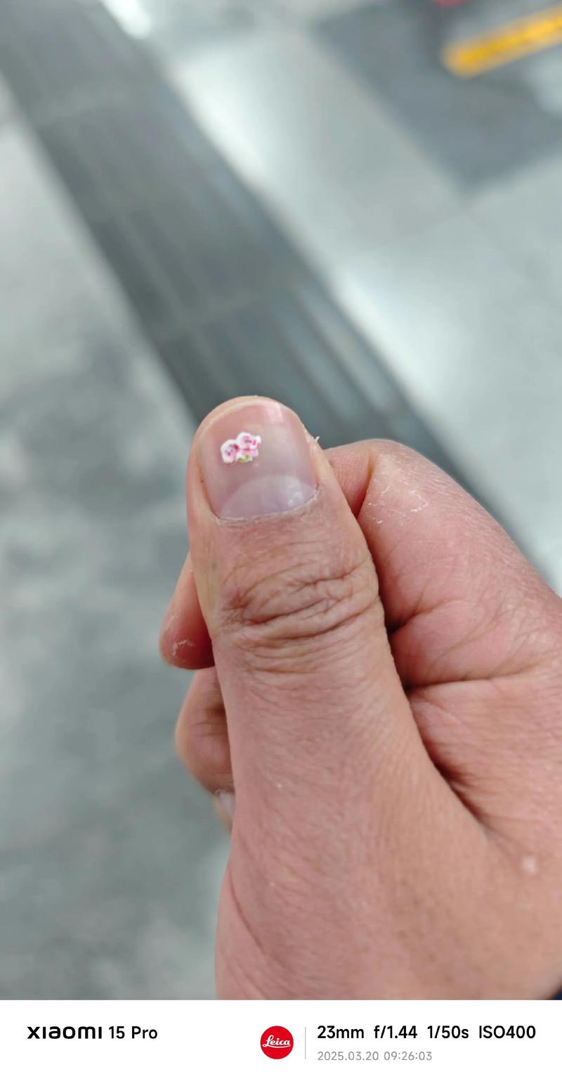 抖音一个男的指甲贴钻