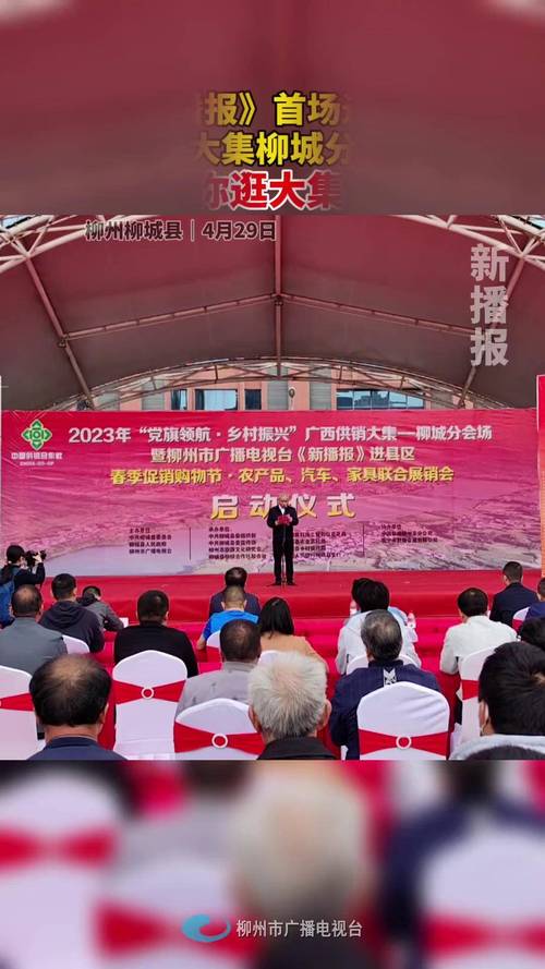 柳州电视台新播报直播