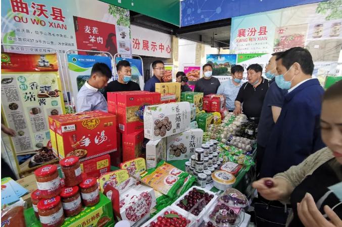 临汾一台在线直播观看