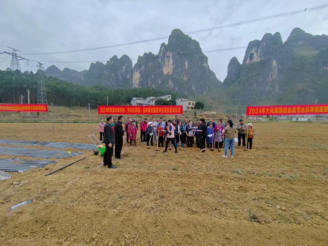 广西东兰新闻现场直播