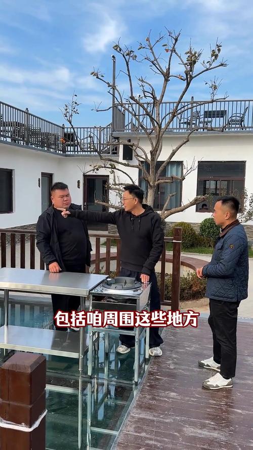 山东综艺百姓厨神直播