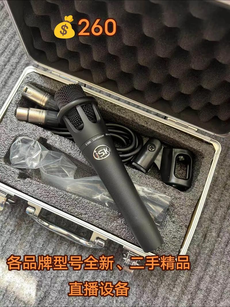抖音用的麦克风多少钱