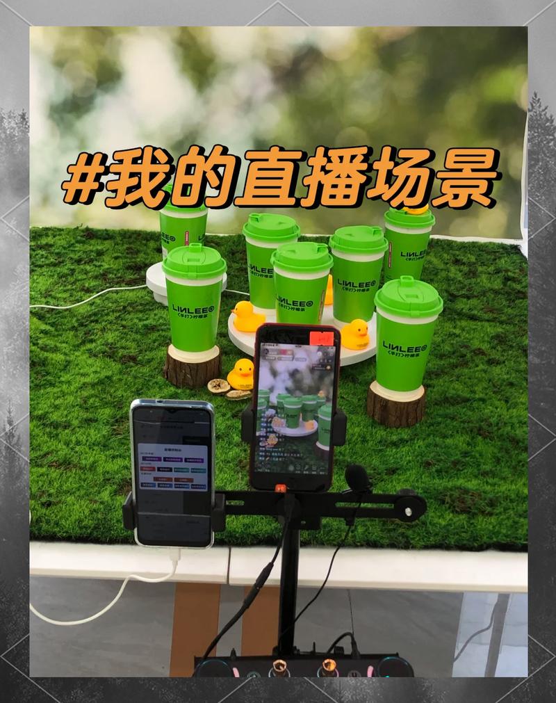 快手直播怎么镜面直播