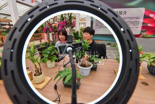 科技之花美乡村e直播