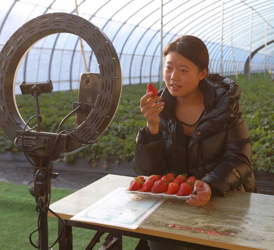 科技之花美乡村e直播