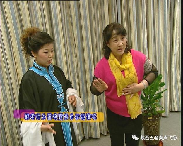 陕西五套秦声飞扬直播