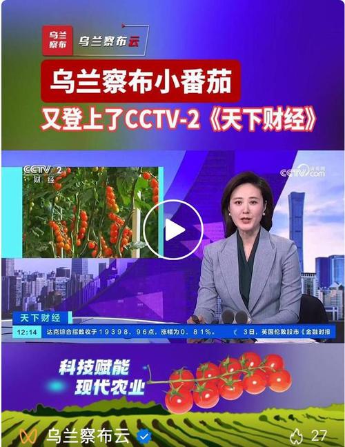 乌兰察布公众视窗直播