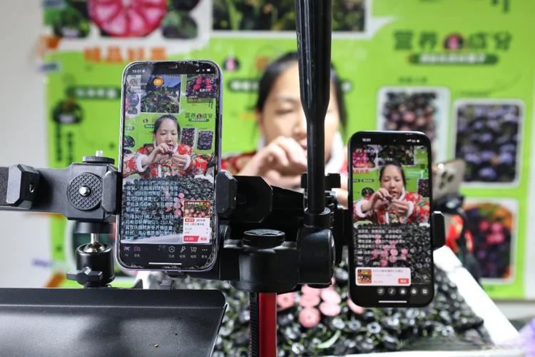 公共频道财源滚滚直播