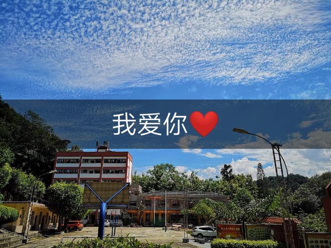 今日联盟输了快手视频