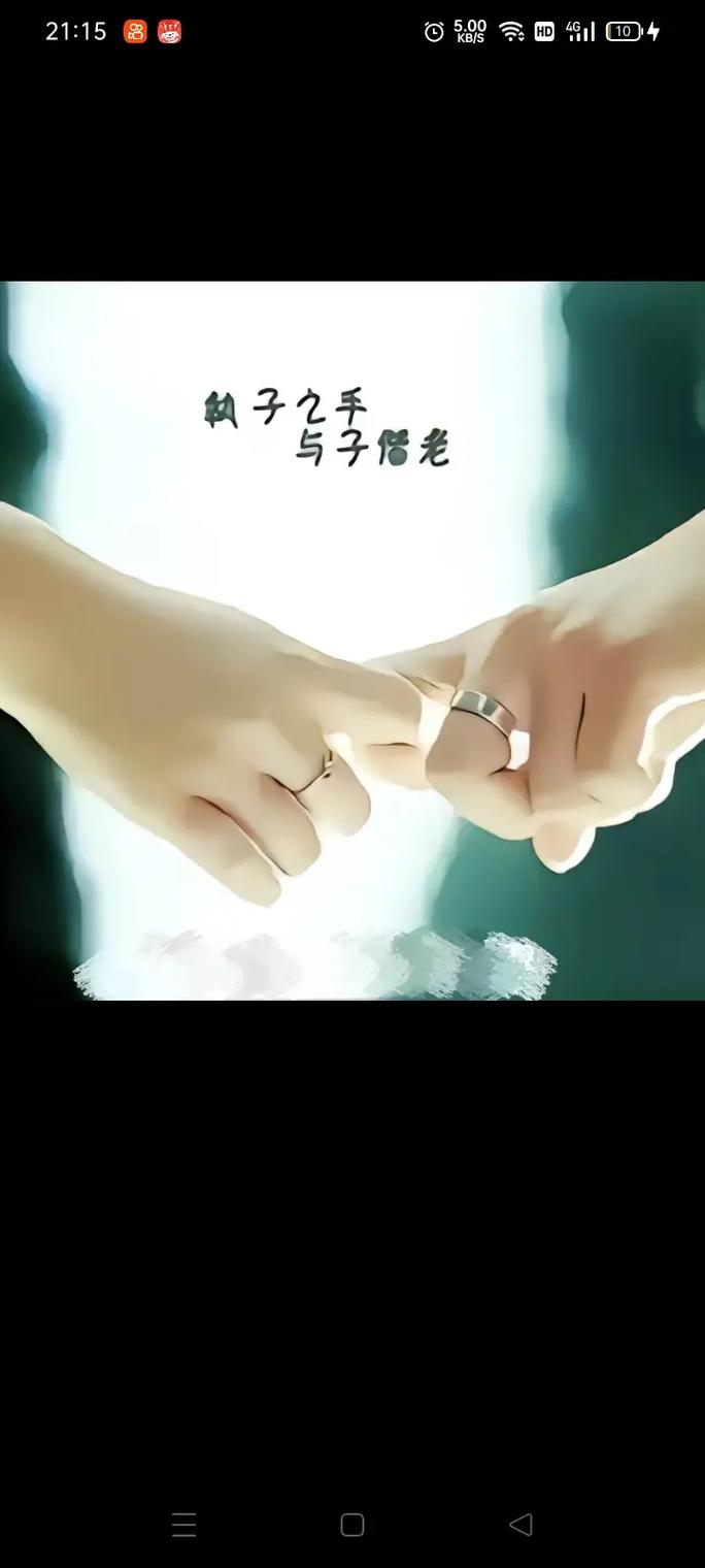 抖音上最火的携手一生