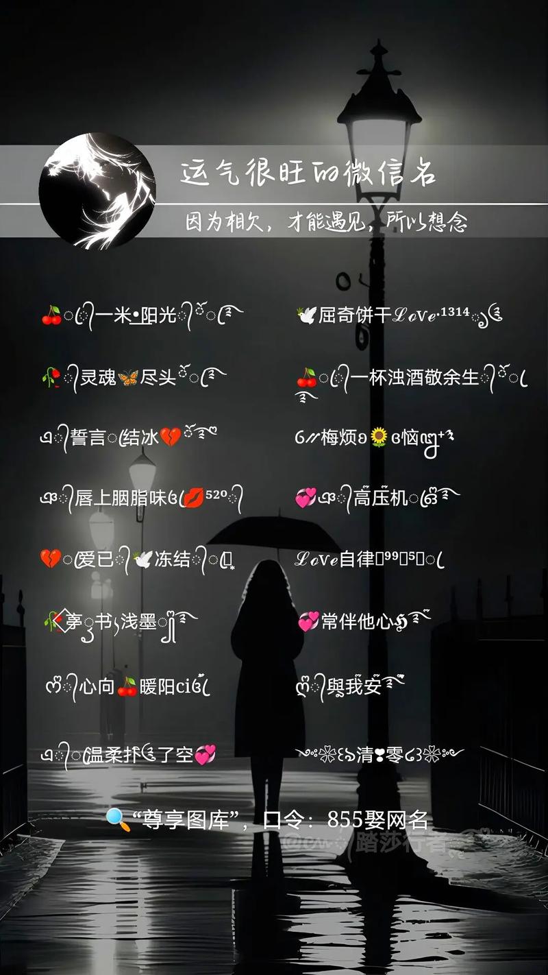 快手社会小伙网名大全