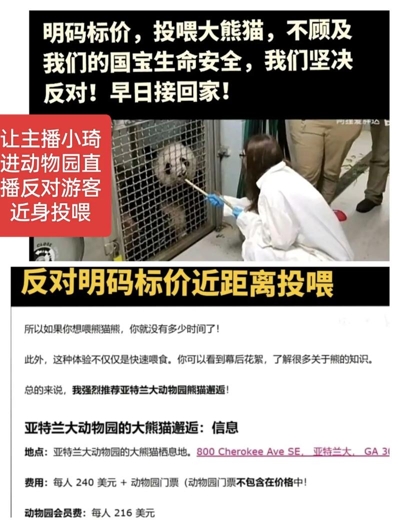 熊猫开直播有什么要求