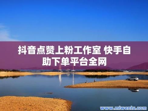 抖音微博点赞 工作室