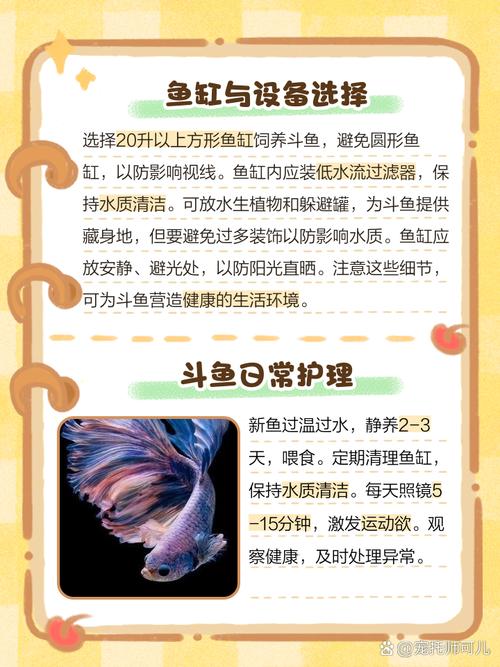 斗鱼直播需要什么配置